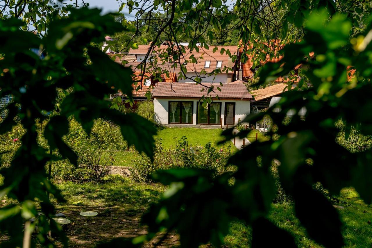 Casa Adalmo Hotel Sighişoara Buitenkant foto
