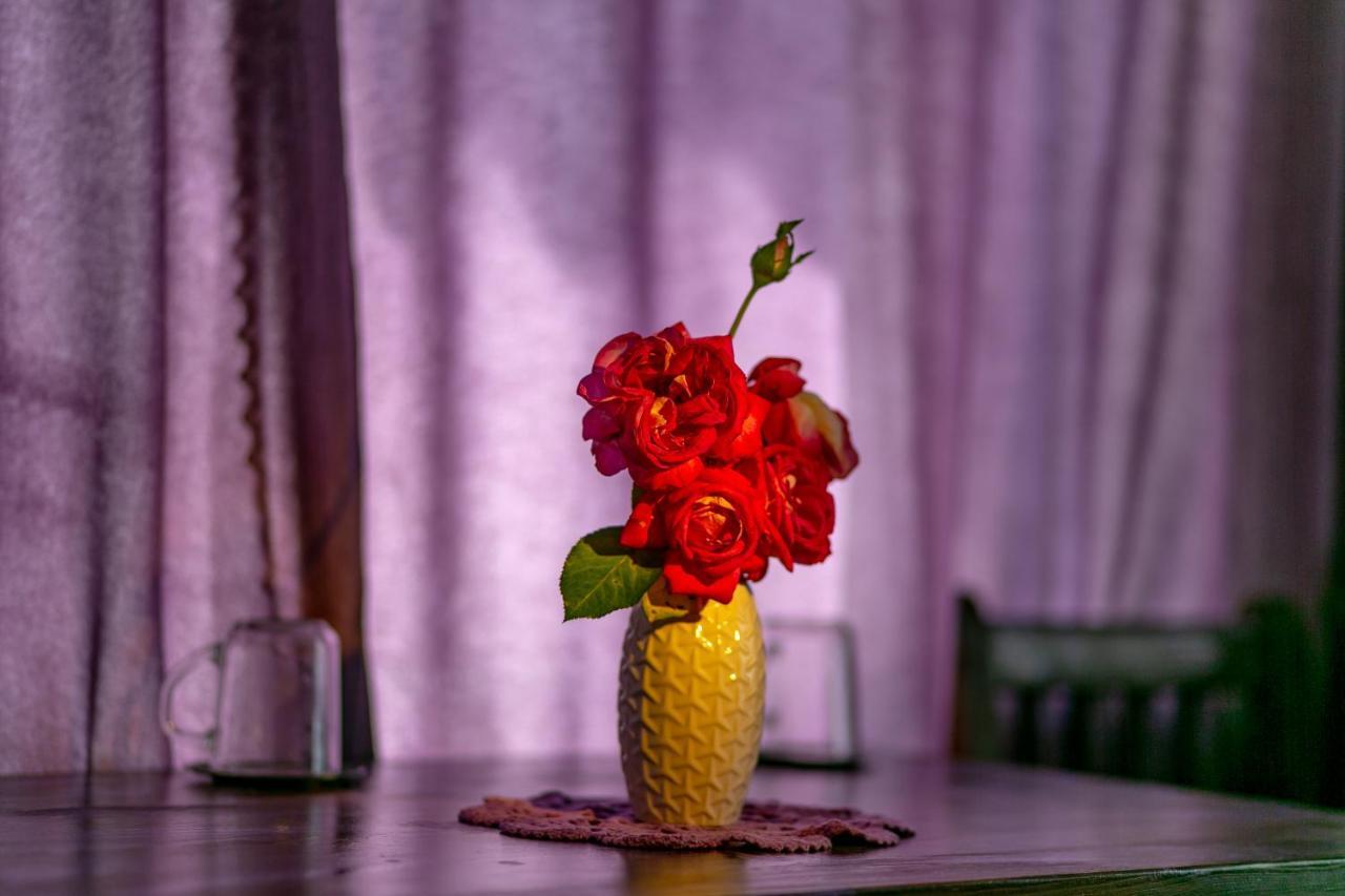 Casa Adalmo Hotel Sighişoara Buitenkant foto