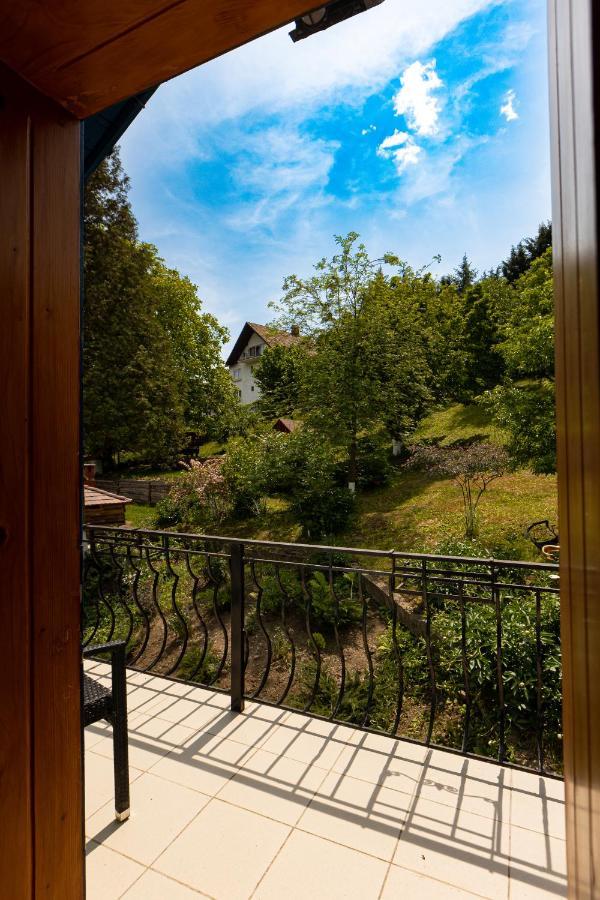 Casa Adalmo Hotel Sighişoara Buitenkant foto